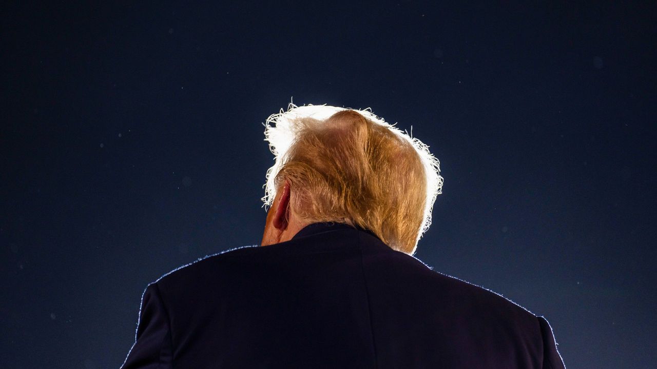 The back of Donald Trump's head and shoulders againast a dark blue sky.